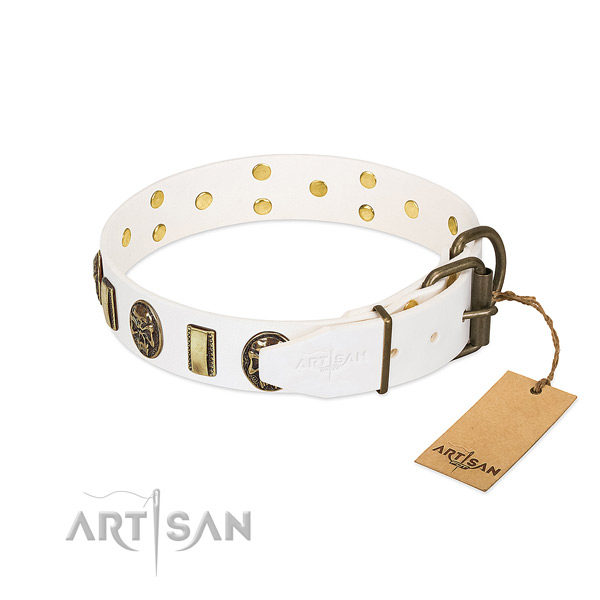 Rust-proof traditional buckle on full grain genuine leather collar for stylish walking your doggie