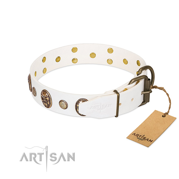 Corrosion resistant fittings on full grain leather collar for everyday walking your pet
