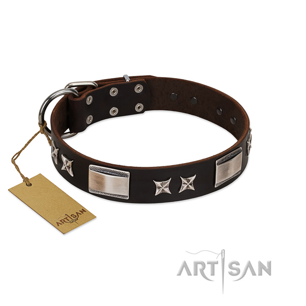 Inimitable dog collar of full grain leather