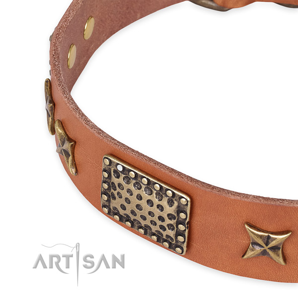 Genuine leather collar with corrosion proof traditional buckle for your attractive doggie