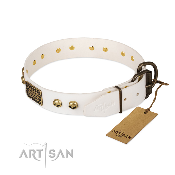 Easy wearing genuine leather dog collar for everyday walking your dog