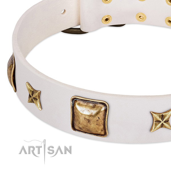 Strong D-ring on genuine leather dog collar for your pet