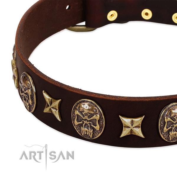 Corrosion resistant fittings on leather dog collar for your doggie
