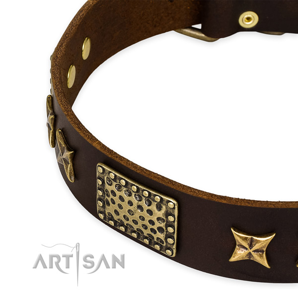 Genuine leather collar with corrosion resistant buckle for your lovely canine