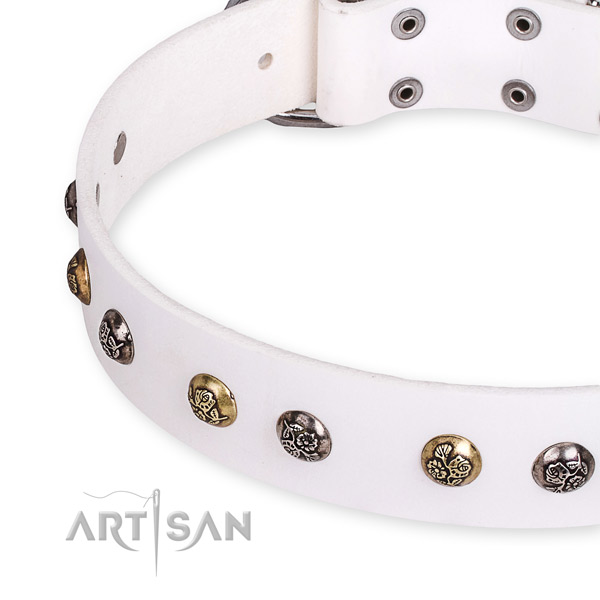 Full grain genuine leather dog collar with amazing strong adornments