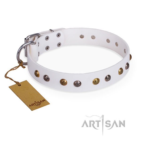 Basic training remarkable dog collar with rust resistant traditional buckle