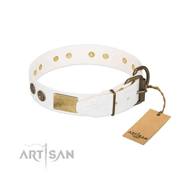 Corrosion resistant traditional buckle on genuine leather collar for stylish walking your four-legged friend