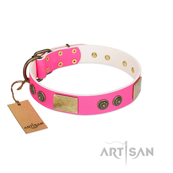 Easy to adjust genuine leather dog collar for everyday walking