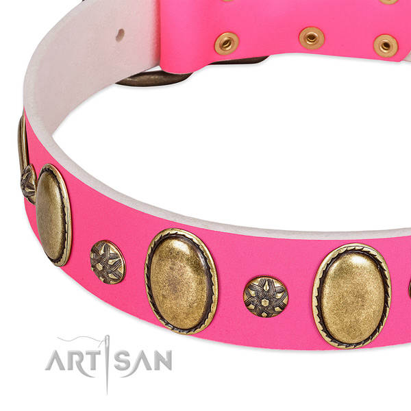 Top notch full grain leather dog collar with corrosion resistant hardware