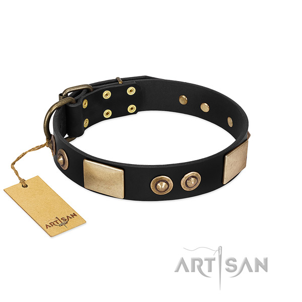 Adjustable full grain natural leather dog collar for daily walking your pet