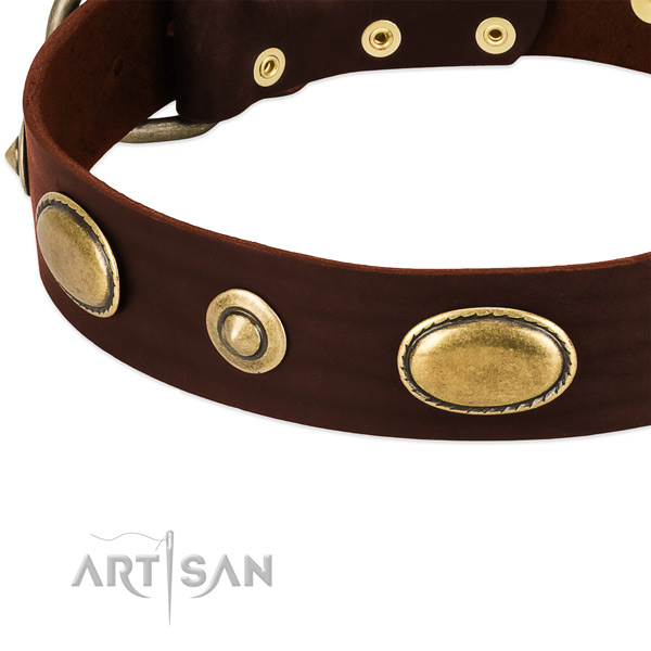 Strong embellishments on natural leather dog collar for your dog