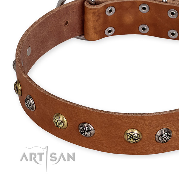 Leather dog collar with unusual durable embellishments