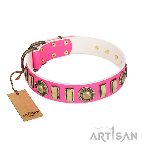 Extraordinary genuine leather dog collar with corrosion resistant hardware