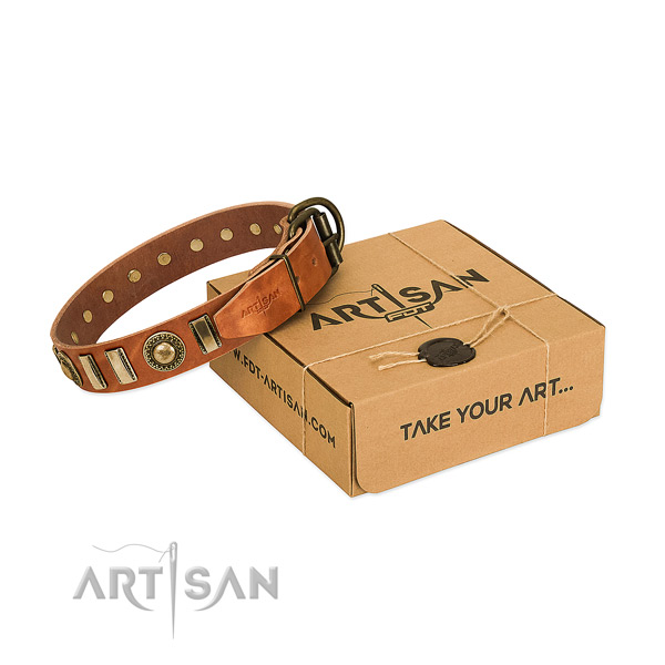 Top notch full grain genuine leather dog collar with durable fittings