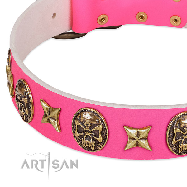 Genuine leather dog collar with unique studs