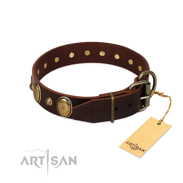 Strong fittings on leather collar for basic training your four-legged friend