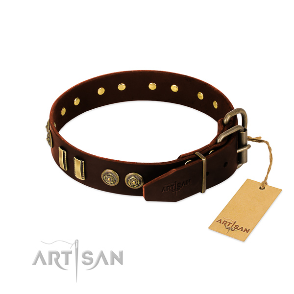 Strong embellishments on full grain leather dog collar for your pet