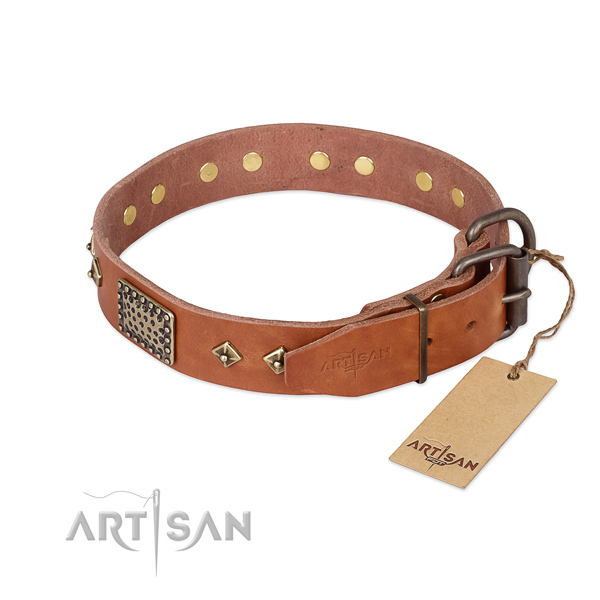 Natural leather dog collar with rust-proof buckle and adornments