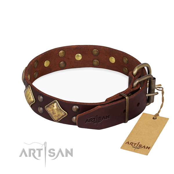 Full grain leather dog collar with amazing corrosion resistant decorations