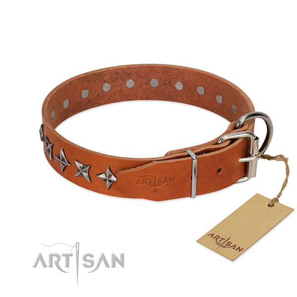 Walking studded dog collar of durable natural leather