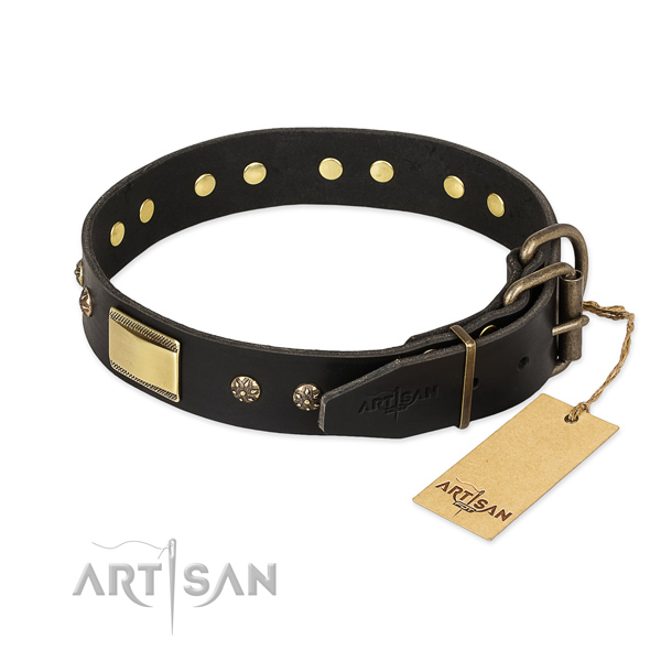 Full grain leather dog collar with strong hardware and studs