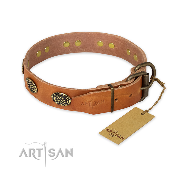 Reliable hardware on full grain natural leather collar for fancy walking your dog