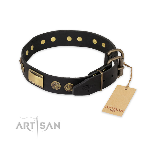 Durable fittings on leather collar for fancy walking your four-legged friend