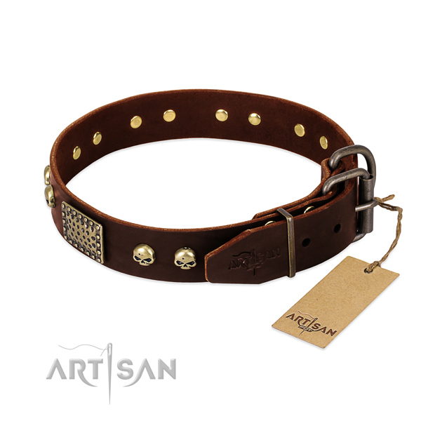 Strong D-ring on everyday walking dog collar