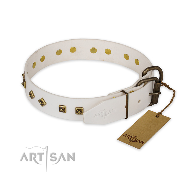 Durable traditional buckle on full grain leather collar for everyday walking your dog