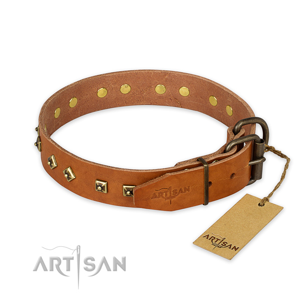 Rust resistant hardware on natural leather collar for stylish walking your doggie