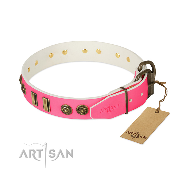 Corrosion resistant studs on full grain natural leather dog collar for your dog