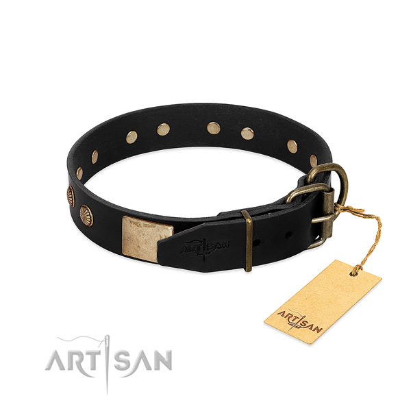 Rust-proof decorations on daily walking dog collar
