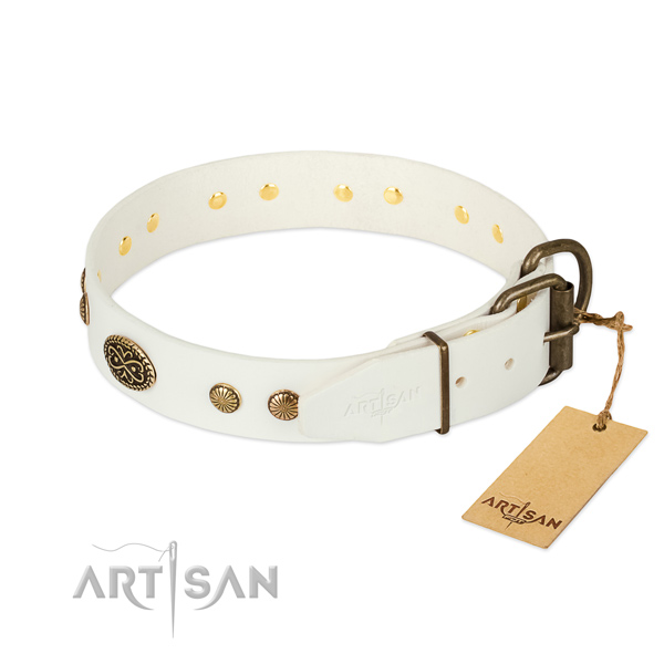 Strong adornments on full grain natural leather dog collar for your pet
