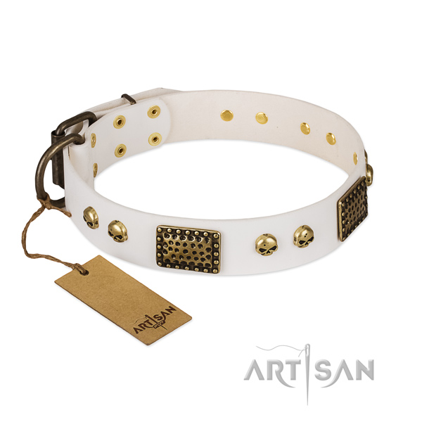 Strong decorations on walking dog collar