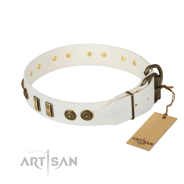 Rust resistant embellishments on natural leather dog collar for your dog
