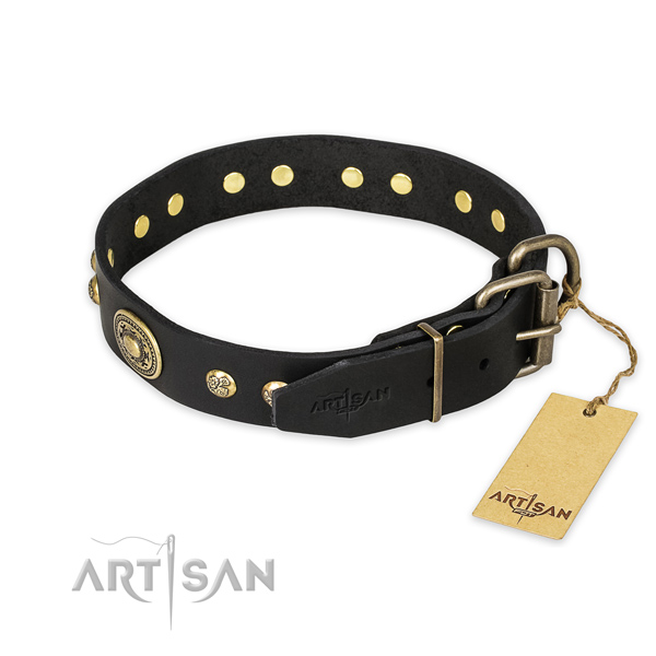 Corrosion resistant fittings on full grain genuine leather collar for everyday walking your pet