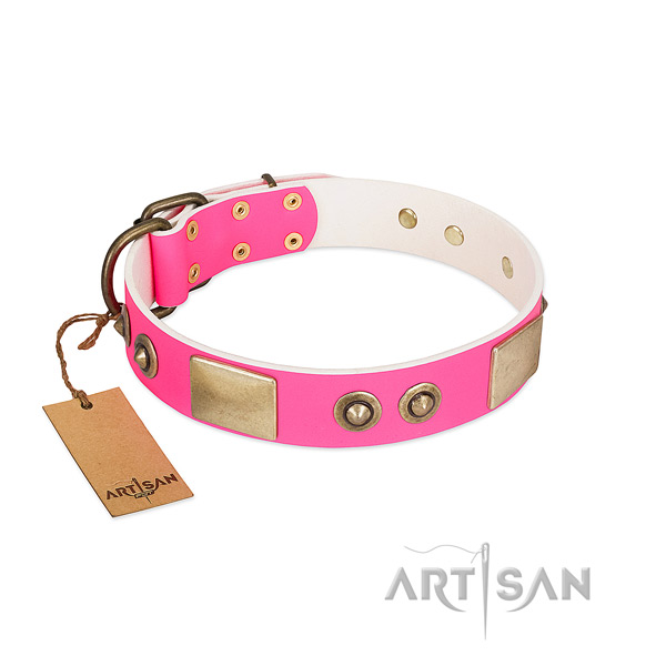 Corrosion resistant decorations on genuine leather dog collar for your canine