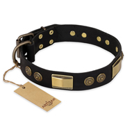 "Ancient Egypt" FDT Artisan Leather dog Collar with Old Bronze Look Decorations "Ancient Egypt" FDT Artisan Leather dog Collar with Old Bronze Look Decorations