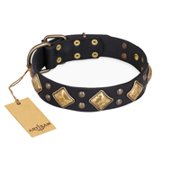 "Fancy-Schmancy" FDT Artisan Studded Leather dog Collar "Fancy-Schmancy" FDT Artisan Studded Leather dog Collar
