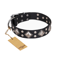 Decorated Black Leather Dog Collar Smart Geometry Decor by Artisan C233