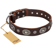 "Extra Pizzazz" FDT Artisan Adorned Brown Leather dog Collar "Extra Pizzazz" FDT Artisan Adorned Brown Leather dog Collar