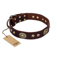 "Breath of Elegance" FDT Artisan Decorated with Plates Brown Leather dog Collar "Breath of Elegance" FDT Artisan Decorated with Plates Brown Leather dog Collar