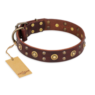 "Caprice of Fashion" FDT Artisan Brown Leather dog Collar with Round Decorations "Caprice of Fashion" FDT Artisan Brown Leather dog Collar with Round Decorations