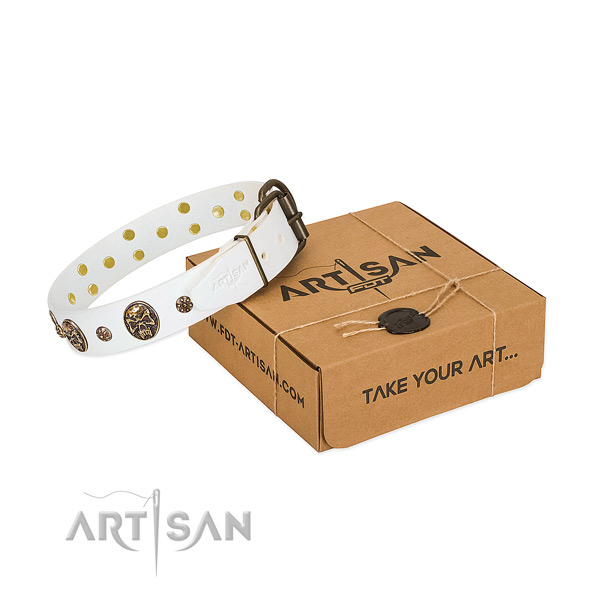 Exceptional genuine leather collar for your impressive doggie