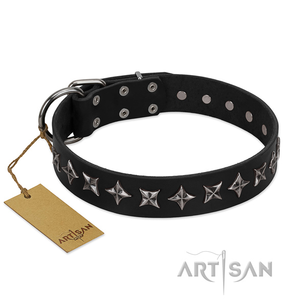 Basic training dog collar of reliable full grain leather with adornments
