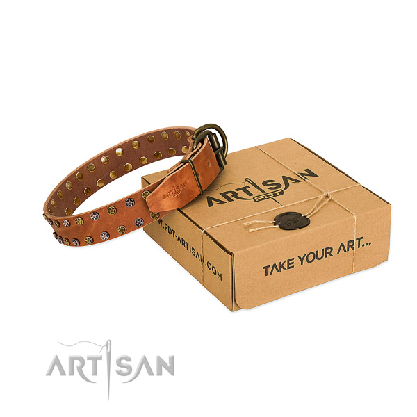 Walking soft genuine leather dog collar with studs