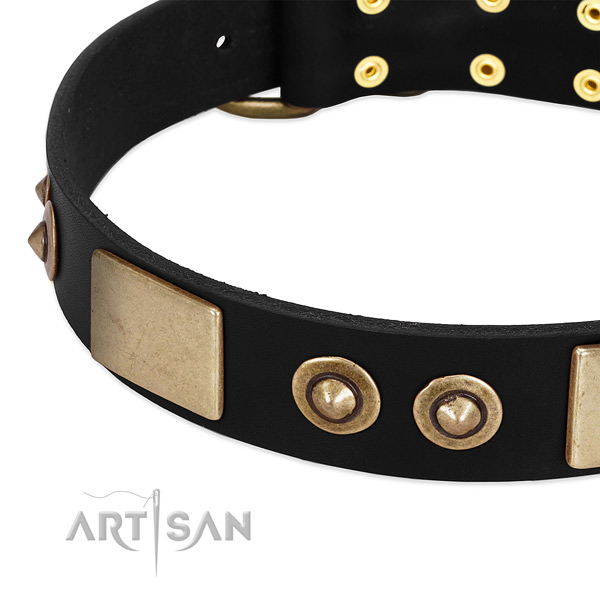 Corrosion proof embellishments on full grain leather dog collar for your four-legged friend