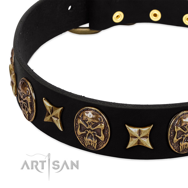 Reliable embellishments on natural genuine leather dog collar for your canine