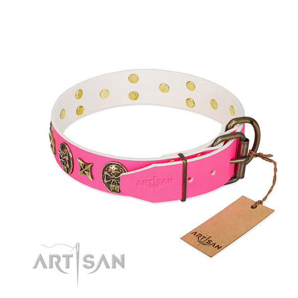 Durable traditional buckle on leather collar for daily walking your canine