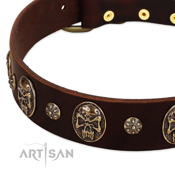 Reliable adornments on full grain leather dog collar for your pet
